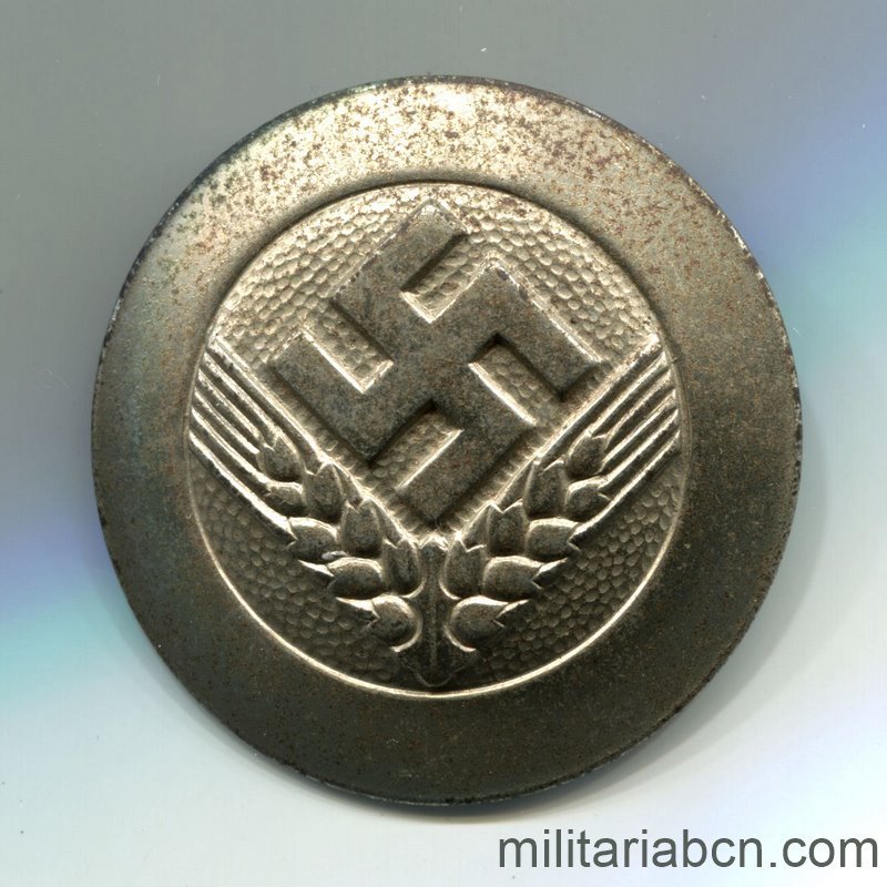 Alemania III Reich. Distintivo Femenino juvenil del RAD