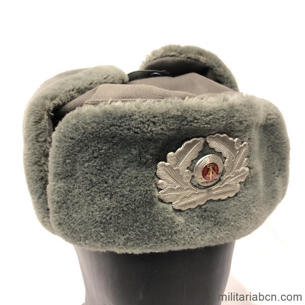 DDR República Democrática Alemana. Gorra de Invierno del Ejército de Tierra. Ushanka