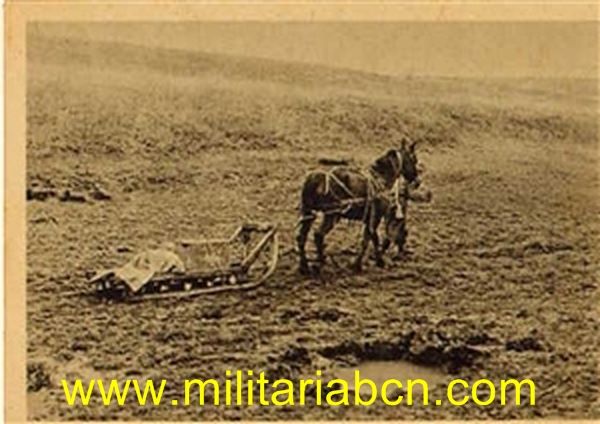 Postal de la División Azul. DA012. Sin circular