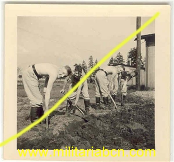 Fotografía militar. Época III Reich. F 106