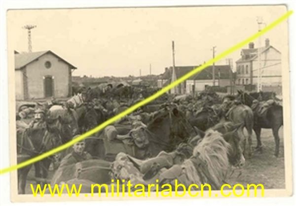 Fotografía militar. Época III Reich. F 185