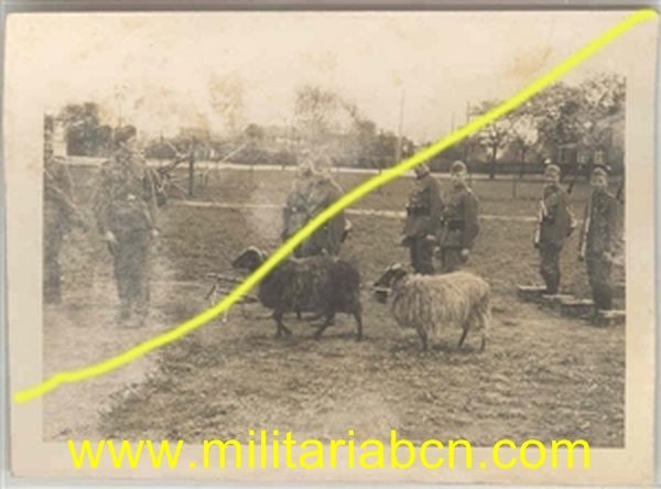 Fotografía militar. Época III Reich. F 197