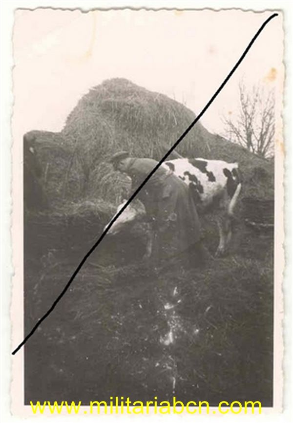 Fotografía militar. Época III Reich. F 265